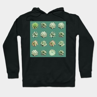 Succulents grid repeating pattern Hoodie